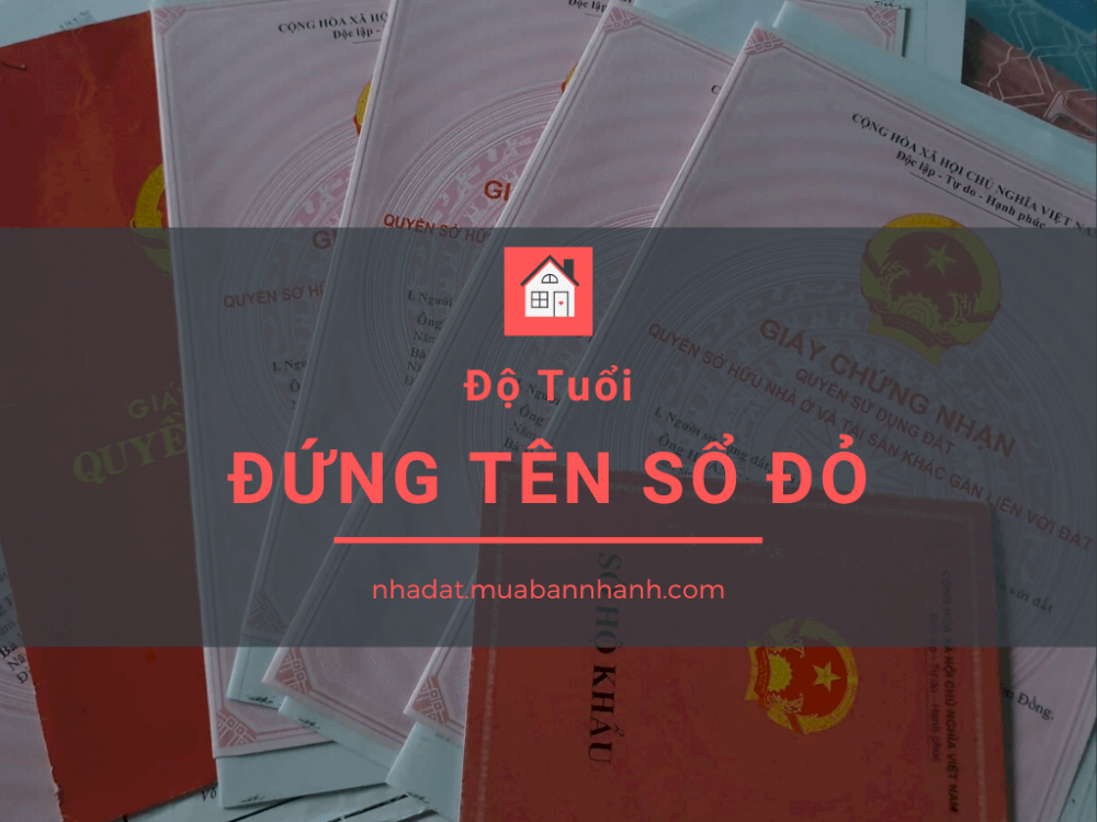 Bao nhiêu tuổi thì được cấp quyền sử dụng đất, đứng tên sổ đỏ?